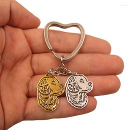 Keychains Labrador Retriever Dog Animal Antique Gold Silver Plated Metal Pendant Keychain For Bag Car Women Men K145