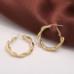 Hoop Earrings 2023 Fashion Twisted Gold Plating Metal Circle Round Twist For Women Girls Hypoallergenic Jewellery