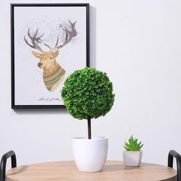 Decorative Flowers 2 Pcs Plastic Flower Ball Small Succulent Plants Live Artificial Faux Tree Outdoor Fake Trees