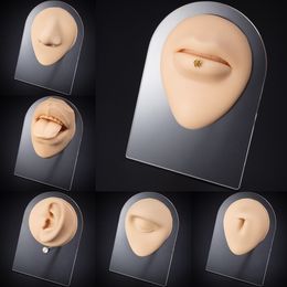귀 커프 천공 실리콘 기능 입술 귀 코 눈 바디 펑크 데모 드릴 교육 운동 도구 소품 모델 230303