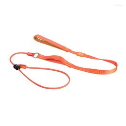 Dog Collars Slip Lead Leash Training 2 In 1 Pet No-Pull Heavy Duty Padded Handle For Small Medium Dogs Puppy