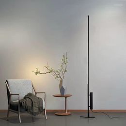 Floor Lamps Modern Minimalist Lamp LED Line Lights Nordic Living Room Bedroom Sofa Standing Indoor Decor Light Fixtures