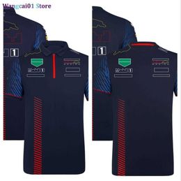 Erkek Tişörtleri 2023 F1 Takım Yeni T-Shirt Polo Kıyafetleri Four Seasons Formula Bir Yeni Yarış Kıyafetleri Resmi Özel 0325H23