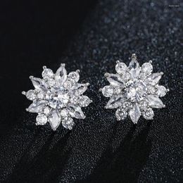 Stud Earrings Emmaya Zirconia Snowflake Appearance Noble Earring Cute Design For Women Two Colours Choice Banquet Fine Jewellery