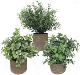 Decorative Flowers 3 Pack Mini Artificial Potted Plants Eucalyptus Boxwood Rosemary Greenery For Home Indoor Office Decoration