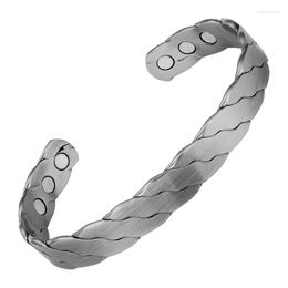 Bangle Twisted Titanium Steel Bracelet Men Health Energy Magnetic Benefits Adjustable Cuff Bracelets Bangles Jewellery