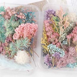 Decorative Flowers 1 Box Real Dried Flower Dry Plants For Candle Epoxy Resin Pendant Frame Floating Bottle Making Craft DIY