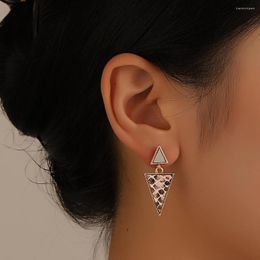 Stud Earrings Japan And South Korea Fashion Selling Net Red Snake Personality Triangle Street For Women
