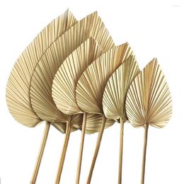 Decorative Flowers 5PCS Dried Palm Leaves Fans Room Home Decor Boho Look Wedding Outdoor Decoration Artificial Plant Arch