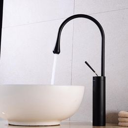 Bathroom Sink Faucets European-style Kitchen Cooking Pot Black Cough Up High Short Kao Paint Bibcock Plating