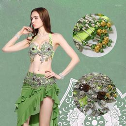 Stage Wear Egyptian Professional Adult Belly Dance Costume 2023 Shinning Rhinestones Decorated Bra Belt For Women Dancing Outfits