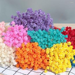 Decorative Flowers 30pcs Beautiful DIY Crafts Wedding Supplies Floral Bouquets Dried Natural Plants Mini Small Flower