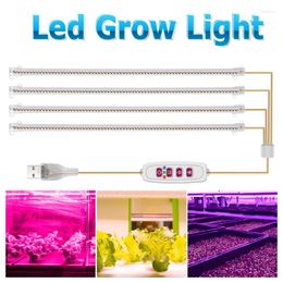 Grow Lights 30/50cm Indoor Dimmable Led Light Phyto Lamp Timer With Power Hydroponic Kits Full Spectrum For Plants Growing