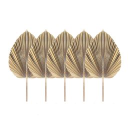 Decorative Objects Figurines 5Pcs Natural Dried Palm Leaves Tropical Fans Boho Dry Decor For Home Kitchen Wedding 230327
