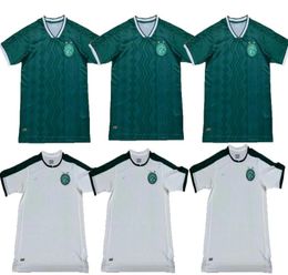 Guarani soccer jerseys 2023 2024 home and away green white men Football Shirts S-XXL