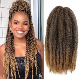 18 Inch Kanekalon Marley Braid Hair 1B 27 30 33 350 99J 613 Premium Fibre Afro Kinky Bulk Synthetic Hair