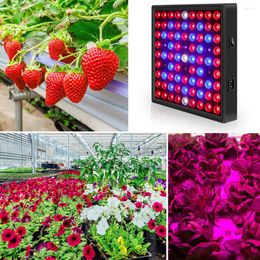 Grow Lights LED Light Full Spectrum Panel Growing Lamp For Indoor Flower Plant Vegetable US Plug 50W-81 Beads