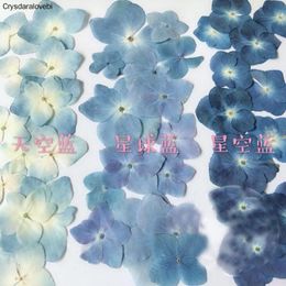 Decorative Flowers & Wreaths 120pcs Pressed Blue Series Dried Hydrangea Macrophylla Flower Plants Herbarium For Jewellery Phone Case Bookmark