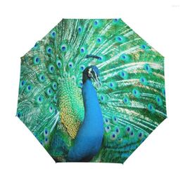 Umbrellas Peacock Exotic Birds Windproof Anti UV Auto Open Close 3 Folding Durable Compact Travel Sun Rain Umbrella For Children