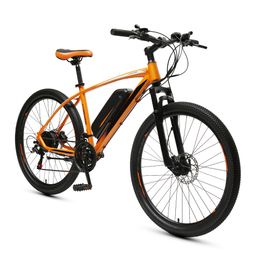 26" 36V250W Electric Mountain Bike 21-Speed Cheap Electric Bike With Front And Rear Hydraulic Disc Brakes