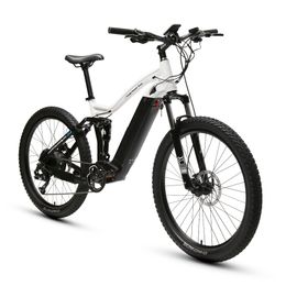 Wholesale 9-speed Electric Mountain Bike 48V/750W Rear Hub Motor Off Road Electric Bike Lithium Battery Customized 48V 9 Speed