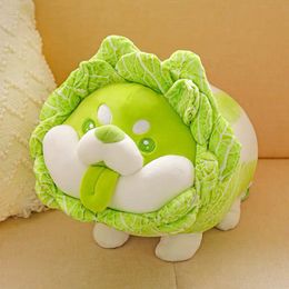 Plush Dolls 5cm26cm Cute Japanese Vegetable Dog Plush Toy Creative Chinese Cabbage 230329