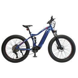 26''*4.0 Fat Tyre Electric Bike Wholesale 9-Speed 48V/750W Rear Hub Motor High Power Electric Mountain Bike