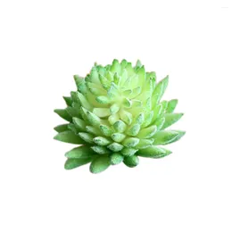 Decorative Flowers 5 PCS Desk Decoration Faux Plants Fake Succulent Decorations Plastic Succculent Succulents Office