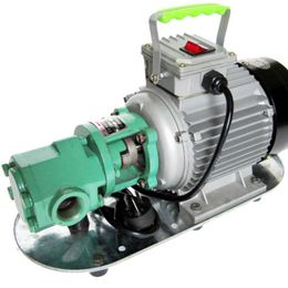 Power WCB 30/50 220v/380v Mini-Gear Cast Iron Oil Pump