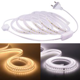 Strips Strip Light 220V 2835 Waterproof Led Stripe High Brightness 120LEDs/m Flexible Kitchen Outdoor Garden Use With SwitchLED