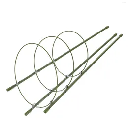 Decorative Flowers 3 Sets Of Orchid Stakes Round Support Planter Metal Supports Climbing Trellis Indoor