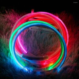Dog Collars Rechargeable USB LED Pet Collar Night Light Anti-Lost Supplies 1 Piece For Dogs And Cats Accessories