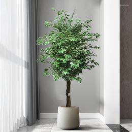 Decorative Flowers 165cm Large Artificial Plants Fake Banyan Tree Plastic Leaves Indoor Faux Outdoor Greenery For Home Garden Wedding Decor