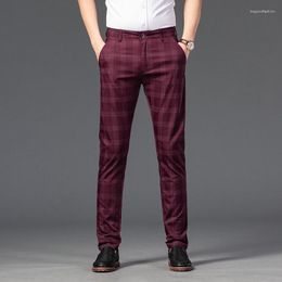 Herrenanzüge Sommer Slim Plaid Pants Korea Style Regular Fit Check für formelle Arbeit Schwarz Rot 2023 Fashion Herrenhose
