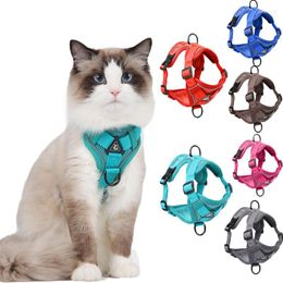 Dog Collars Breathable Pet Accessories Harness Vest Reflective Leash Set Puppy Cat Outdoor Walking Chest Strap Leads L