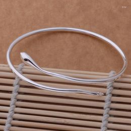 Bangle AB040 Lucky Silver Colour Charm Bracelets For Women Fashion Jewellery Gorgeous Water-drop /acdaitka Aipaizwa