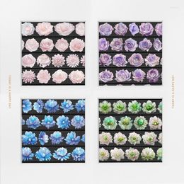 Gift Wrap 1 Loop-200cm Dreamy Purple Rose Green Blue Gem Shiny Shell PET Tapes Journal Collage Material DIY Scrapbooking Decor Sticker