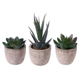 Decorative Flowers Vintage Home Decor Artificial Succulents Pots Succulants Planters House Plants Faux Indoor