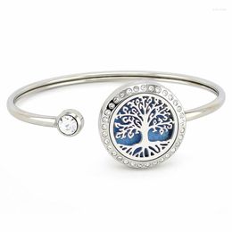 Bangle Arrival Aroma Locket 25mm Silver Color Crystals 316L Stainless Steel Essential Oil Diffuser Bracelets