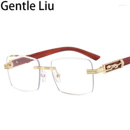 Sunglasses Vintage Square Rimless Men 2023 Frameless Leopard Sun Glasses For Women Shades Eyewear UV400