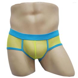 Underpants Sexy Panties Men's Mesh Low Rise Underwear Bikini Briefs Comfortable G-String Breathable Thong Male Sensual Lingerie