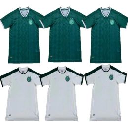 Guarani soccer jerseys 2023 2024 home and away green white men Football Shirts S-XXL 24 CALCIO