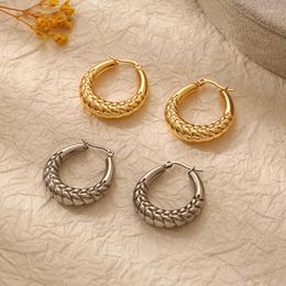 Hoop Earrings Creative Snake Texture Gold Plated Stainless Steel Chunky For Women France Style Circle Hoops Vintage Jewellery