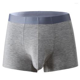 Underpants Men Underwear Seamless Boxers Modal Panties Man Breathable U Convex Pouch Male Boxershorts Homme Cueca Calzoncillo