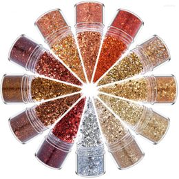 Nail Glitter 12 Colours Chameleon Art Sequins Decoration Round Mirror Hexagon 3D Silver Colour Crafts Accessories 1 Set