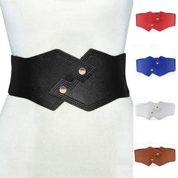 Belts Women PU Waistband Leather Cummerbunds Dress Elastic Wild Female Coat Fur Waist Belt DIY Accessory Corset