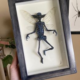 Decorative Objects Figurines Gothic home decor Mummified fairy Fairy skeleton Witchy specimen Statue Picture Frames Display Painting 230428