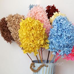 Decorative Flowers Preserved A Whole Hydrangea Paniculata Dyeing Ellipse Leaves Office Decor Wedding Home