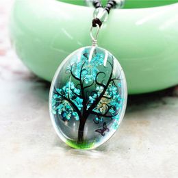 Pendant Necklaces 1 PC Lifelike Tree Necklace Dried Flower Oval Shape Glass Long Sweater Chain Women Girls Fashion Jewellery