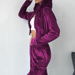 Women's Two Piece Pants Autumn Velvet Solid Tracksuit Set Elegant Soft Cardigan Hooded Crop Top Female Loose Sweatsuit Suit 2023 Sets